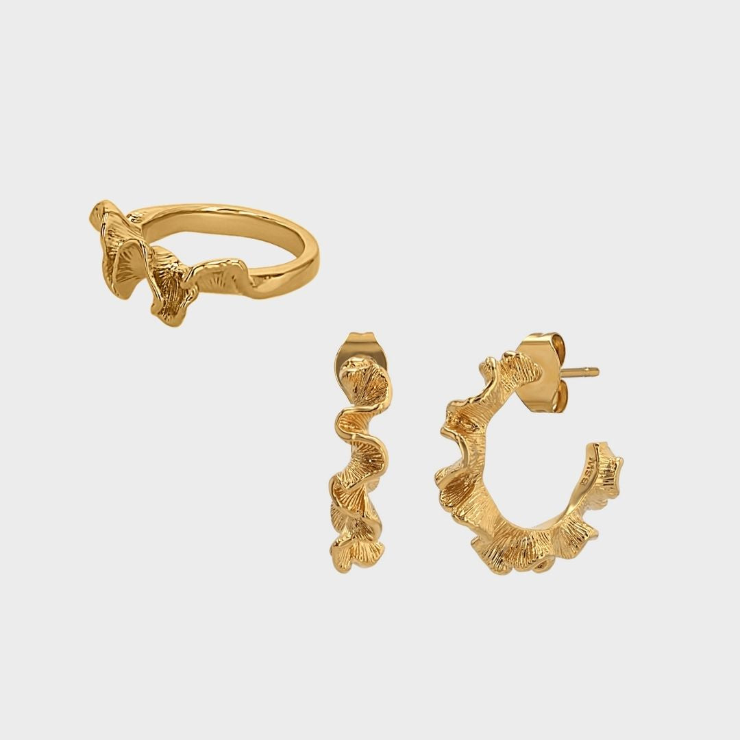 Coralla Mix winther-studio-international