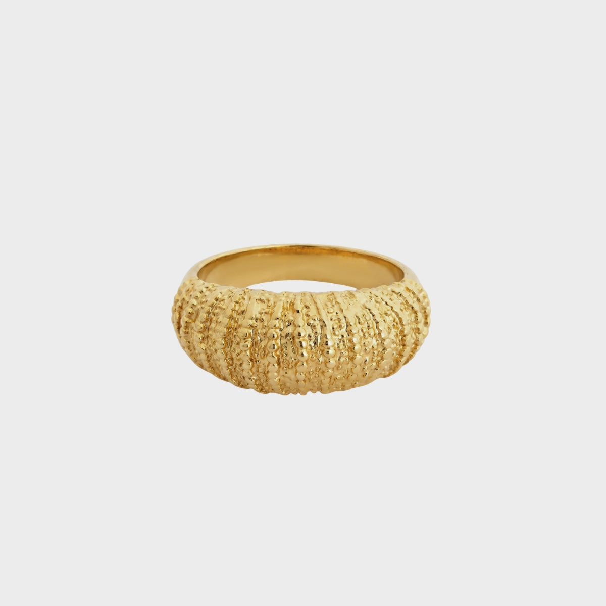Merisi Ring winther-studio-international