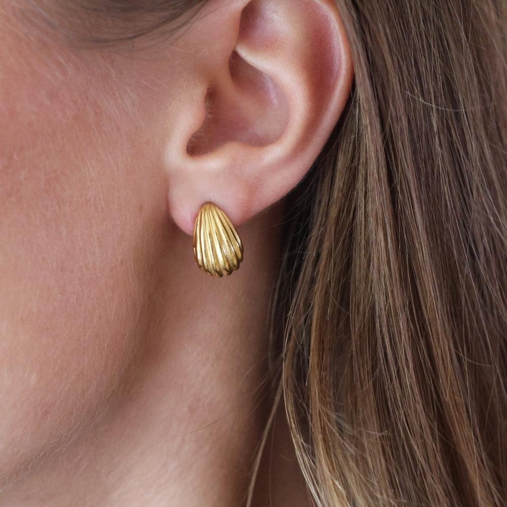 Drops Shell Earrings winther-studio-international