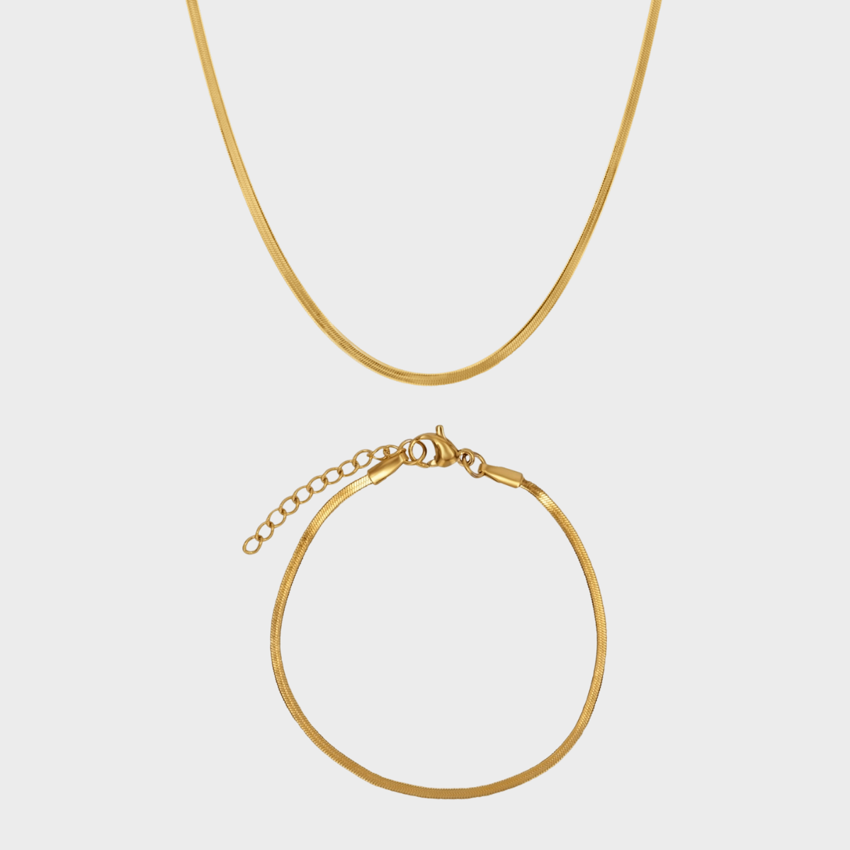 Flat Snake Mix winther-studio-international