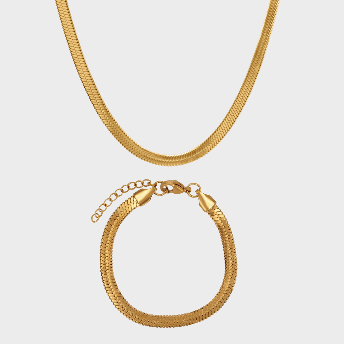 Flat Snake Mix winther-studio-international